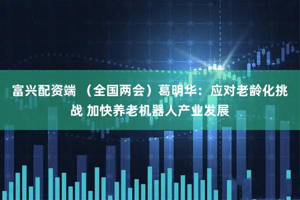 富兴配资端 （全国两会）葛明华：应对老龄化挑战 加快养老机器人产业发展