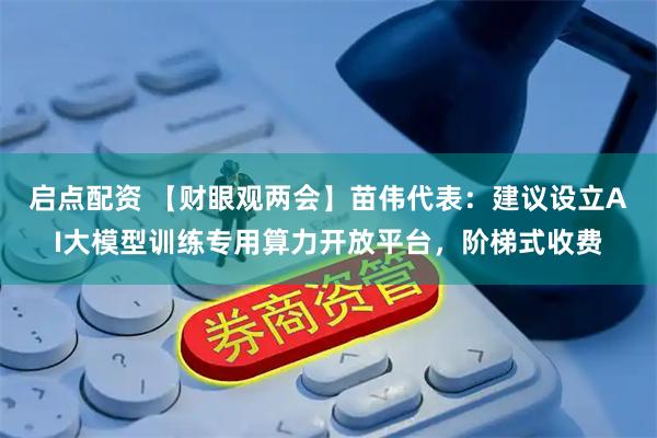 启点配资 【财眼观两会】苗伟代表：建议设立AI大模型训练专用算力开放平台，阶梯式收费