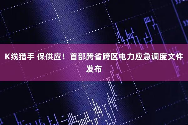 K线猎手 保供应！首部跨省跨区电力应急调度文件发布