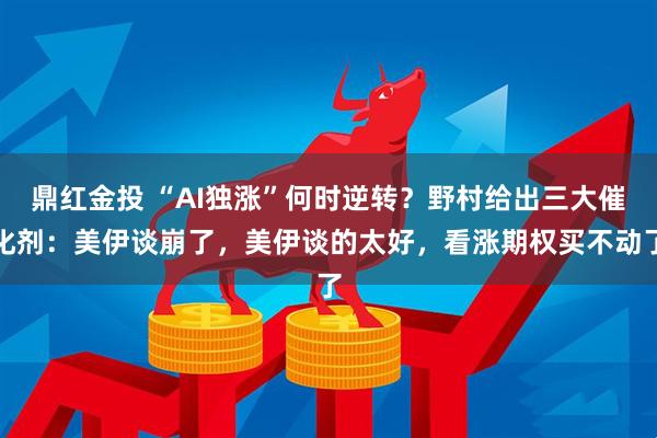 鼎红金投 “AI独涨”何时逆转?野村给出三大催化剂:美伊谈崩了,美伊谈的太好,看涨期权买不动了